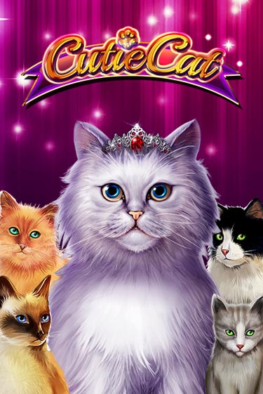 Cutie Cat ига на фантики | MaxBet без риска