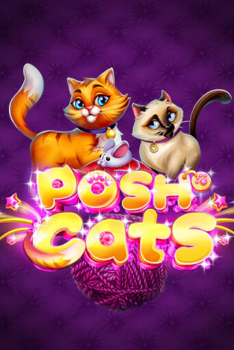 Posh Cats ига на фантики | MaxBet без риска